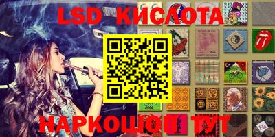 крисы Можга