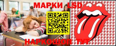 крисы Можга