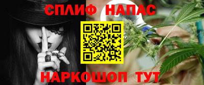 крисы Можга