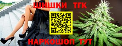 крисы Можга