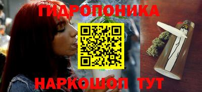 крисы Можга