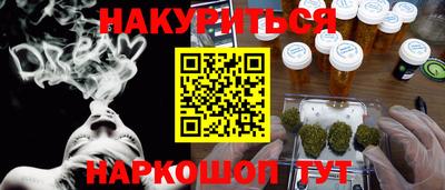 крисы Можга