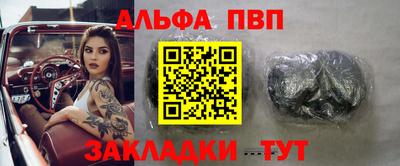 крисы Можга