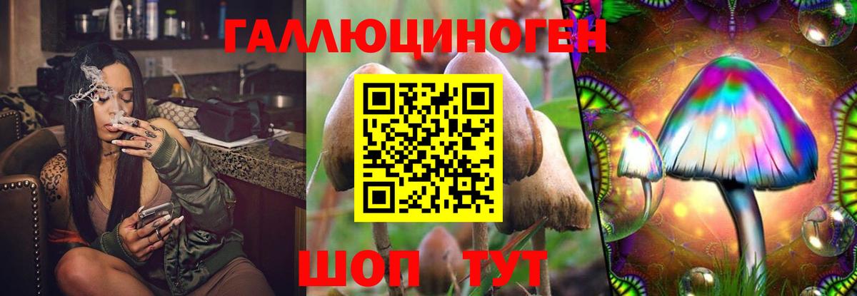Галлюциногенные грибы GOLDEN TEACHER Якутск