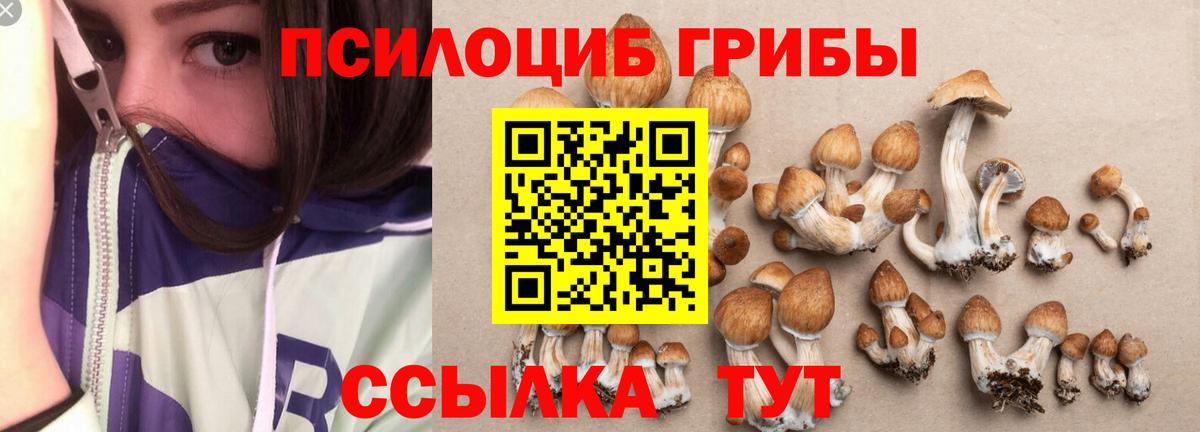 Псилоцибиновые грибы GOLDEN TEACHER  Вход с VPN  Якутск  Галлюциногенные грибы мухоморы 
